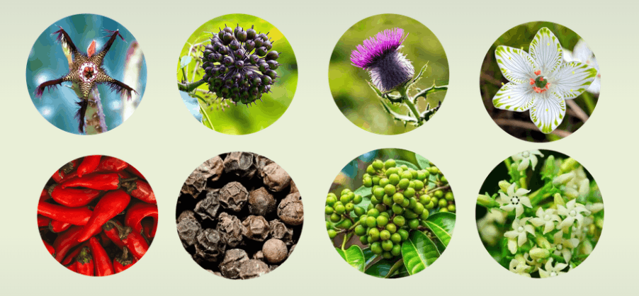 Faithful Fasting Formula Ingredients