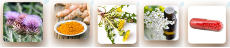 Urgent Liver 911 Ingredients